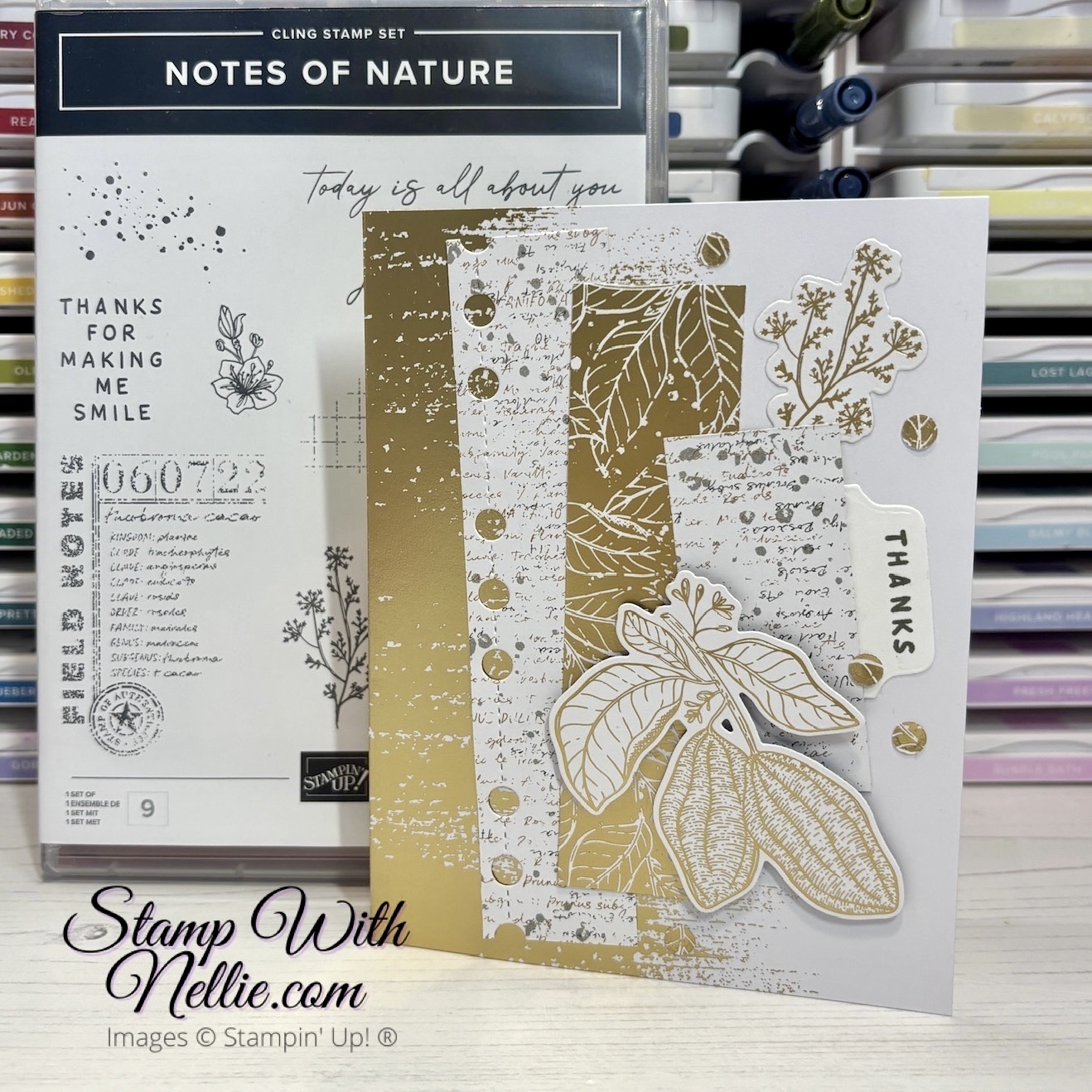 Stampin' Up! Notes of Nature Lovely & Sweet Sneak Peek Card with Video