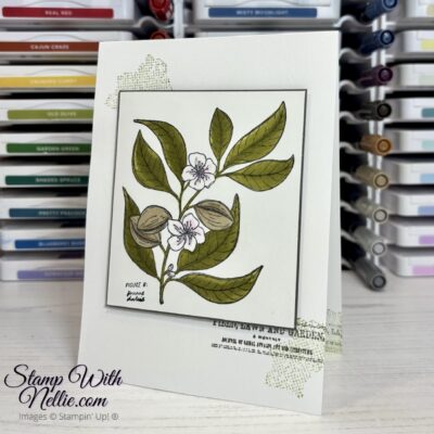 CAS Lovely & Sweet card
