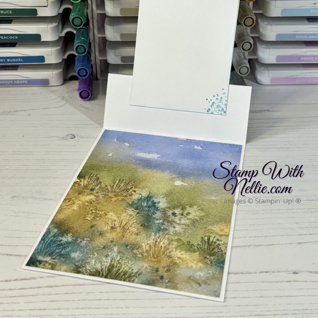 Thoughtful Wishes split front card - Stamp with Nellie