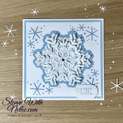 Snowy Delights card – Touches of Ink Blog Hop September 2025