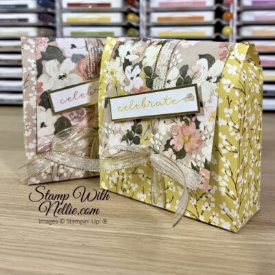 Brushed With Beauty Gift bag – Stampin’ Around the World Video Hop