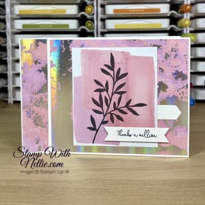 Splash of Sparkle card – Stampin’ Around the World Video Hop